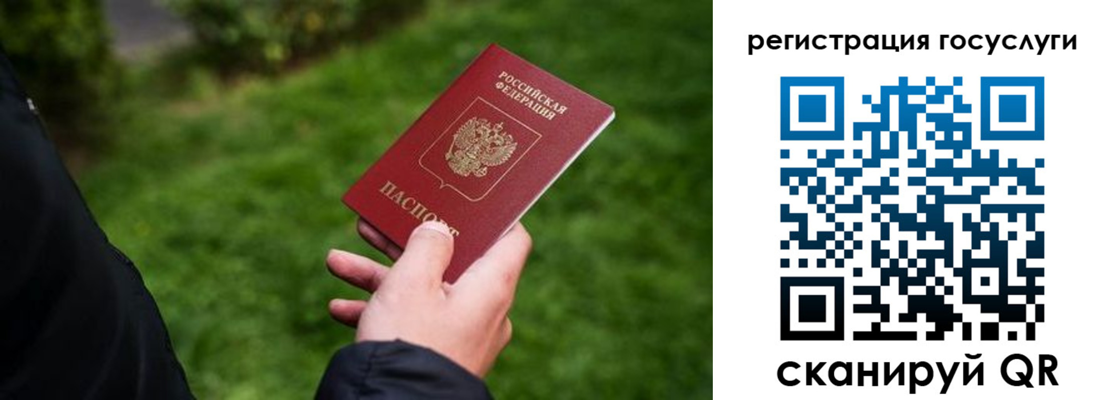 прописка в Семикаракорске